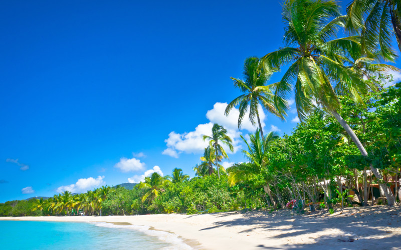 saint lucia beach caribbean