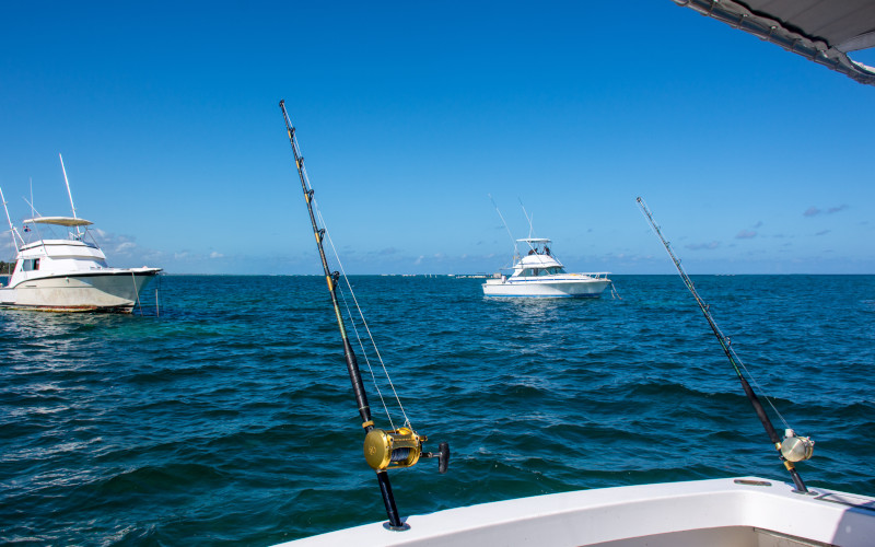 game fishing in saint lucia