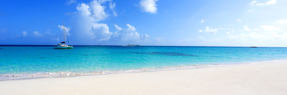 bahamasrose iasland caribbean holidays