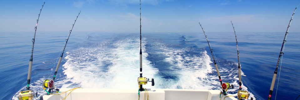 game fishing holidays in the caribbean