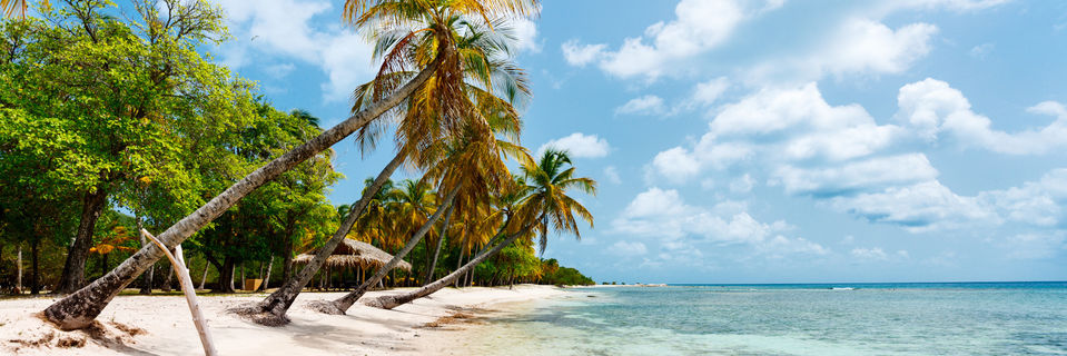 tropical beach at mustique in saint vincent and grenadines