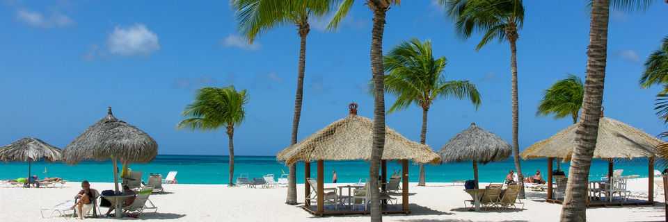 White sand, palm trees and small huts at Bucuti Eagle Beach, Arubu caribbean