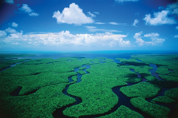 everglades florida