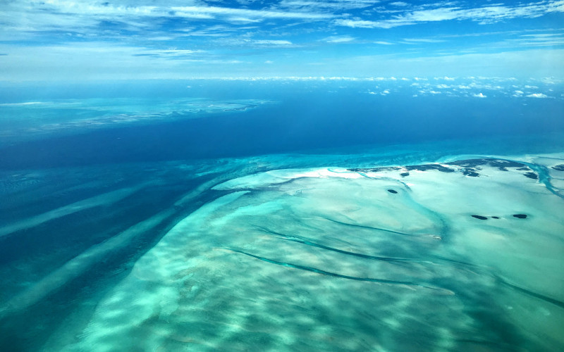 andros barrier reef, bahamas