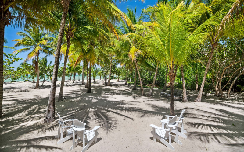 kamalame cay beach with coconut trees on andros island, bahamas