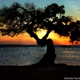 Photo of Malmok Beach Aruba
