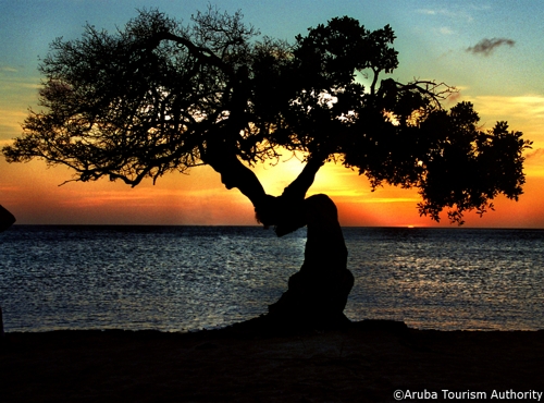 Large photo of Malmok Beach Aruba
