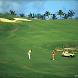 Photo of Palm Beach Aruba