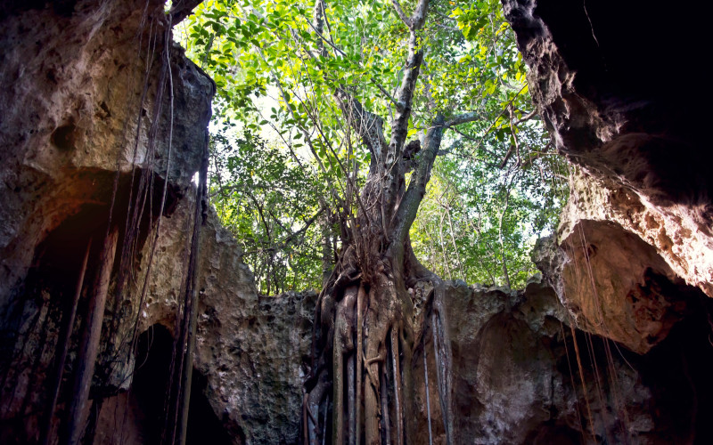 cathedral cave eleuthera bahamas