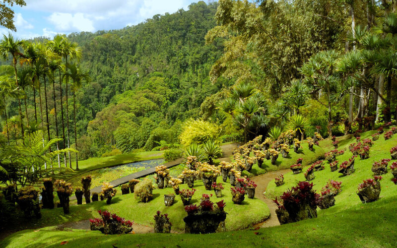 martinique botanical gardens